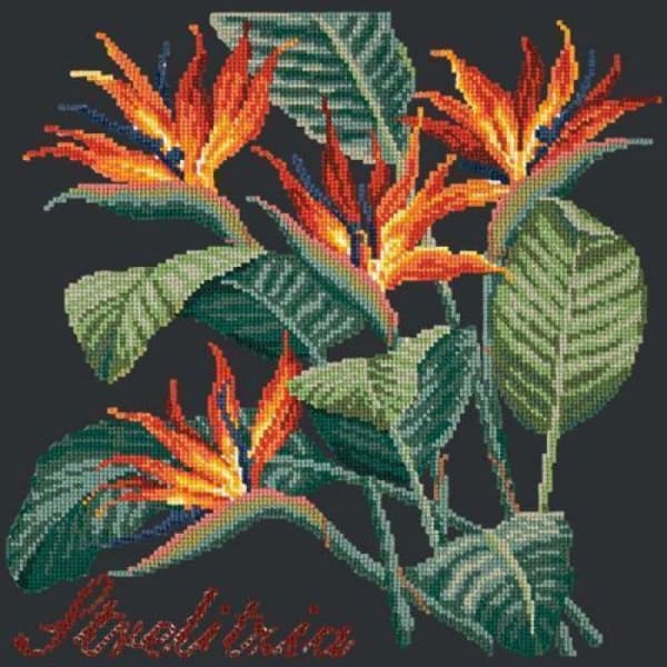 Strelitzia (Bird of Paradise) - NEEDLEWORK KITS