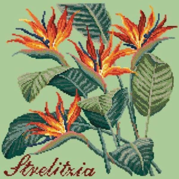 Strelitzia (Bird of Paradise) - NEEDLEWORK KITS