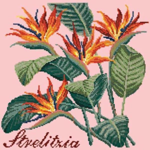 Strelitzia (Bird of Paradise) - NEEDLEWORK KITS