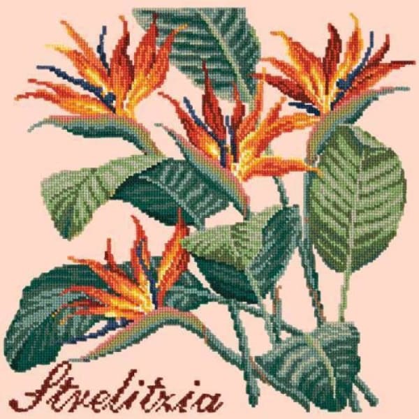 Strelitzia (Bird of Paradise) - NEEDLEWORK KITS