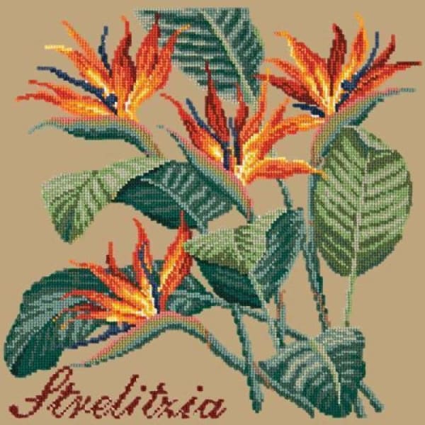 Strelitzia (Bird of Paradise) - NEEDLEWORK KITS