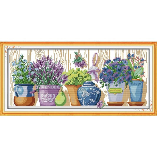 The pottings on the windowsill (1)