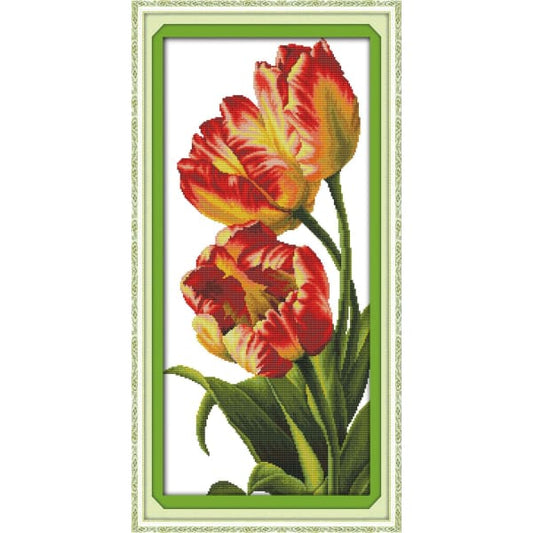 Tulip (4)