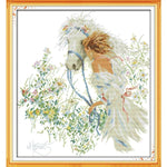 White horse and girl